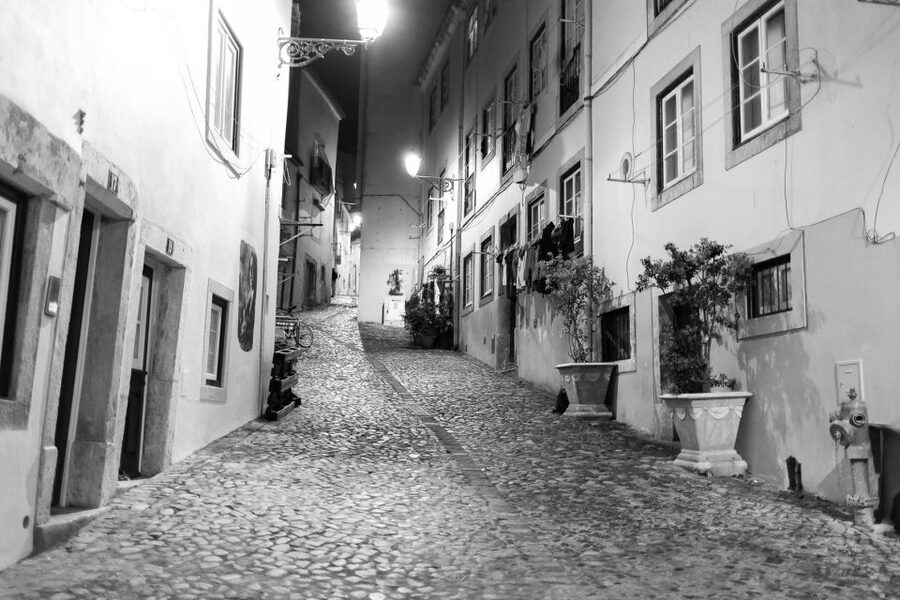 Fado: Musical Walking Tour with Food & Live Show - Who should book this tour?