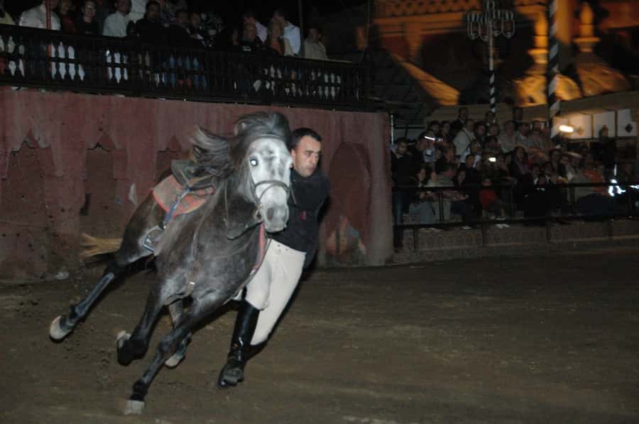 Fantasia 1001 Nights: Dinner + Show from Marrakech - A theatrical Moroccan night outside Marrakech