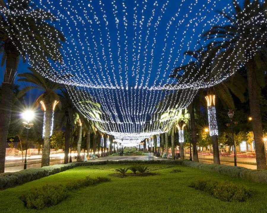 Fes: Dinner Show by Night with City Tour - Key things to know before booking
