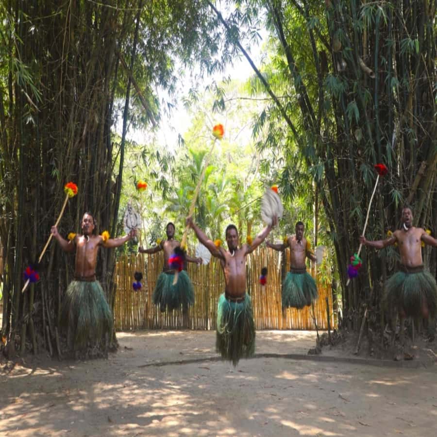 Fiji: Cultural Village Evening Tour with Dinner and Show - Watching the lovo come together