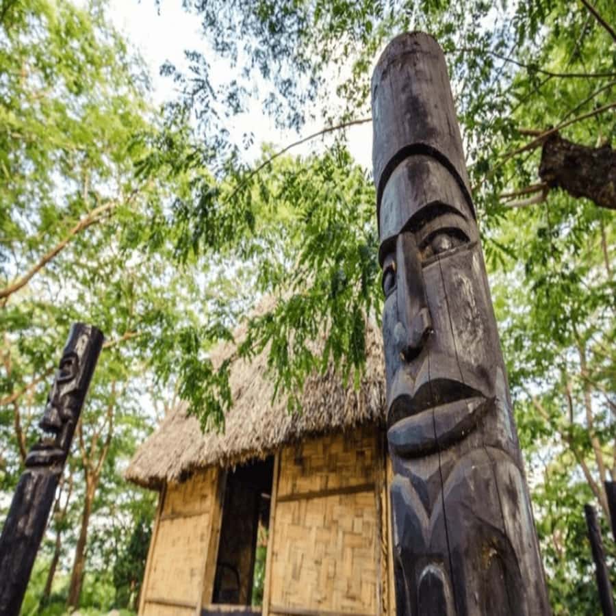 Fiji: Cultural Village Evening Tour with Dinner and Show - The bus ride from Nadi and Denarau