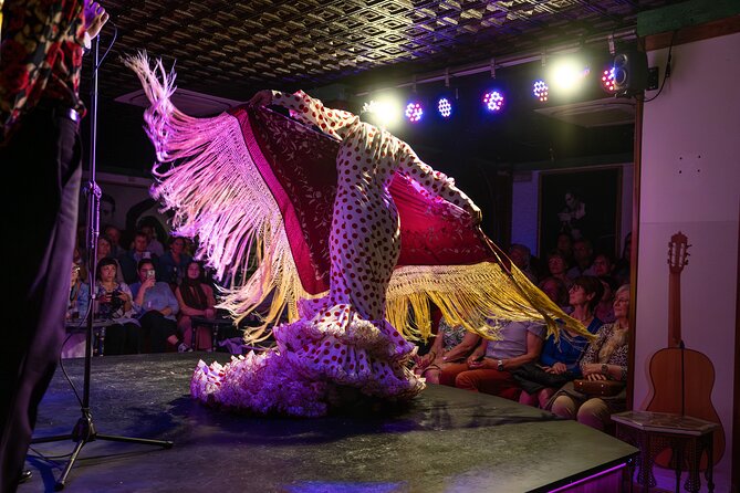 Flamenco Show at Tablao Albayzín Granada - A one-hour window into Andalusian flamenco