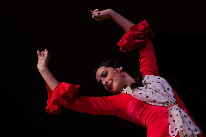 Flamenco Show in Cueva Zincalé - Is $24 a good value?