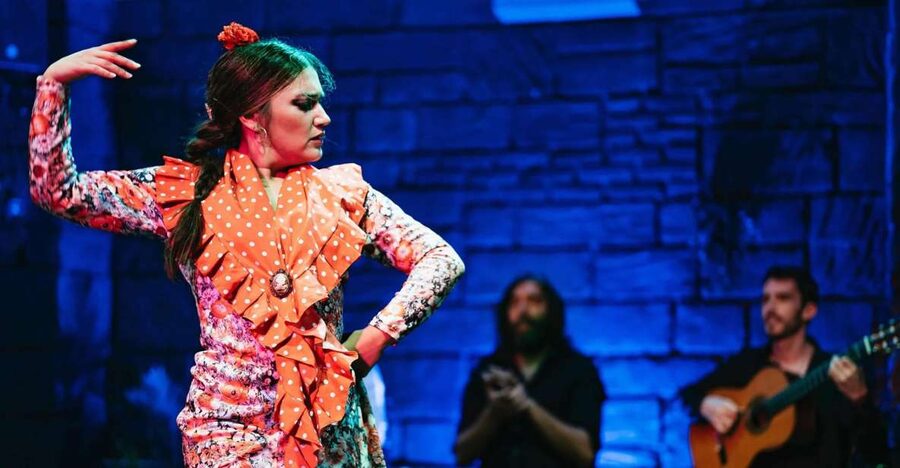 Flamenco Show & Sangria Tasting - Key Points