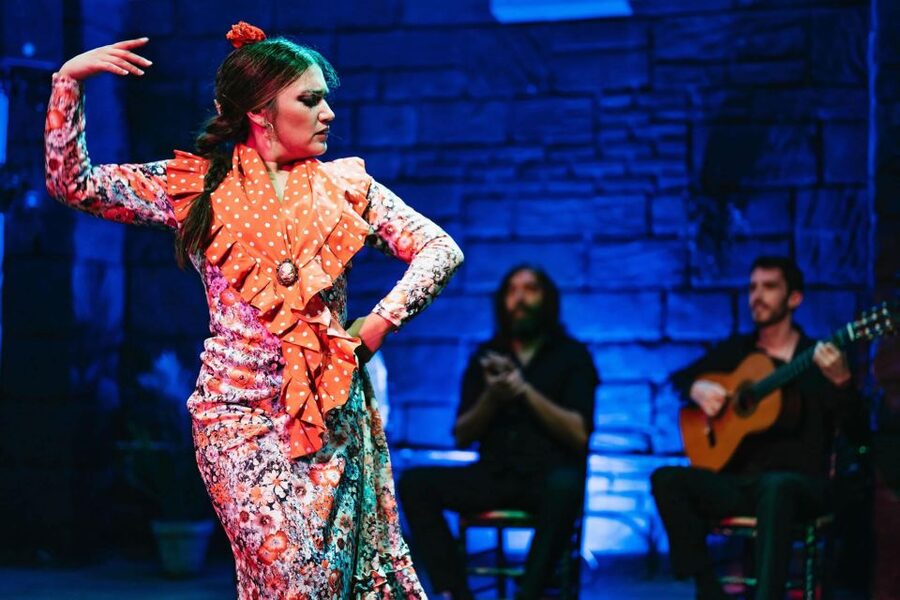 Flamenco Show & Sangria Tasting - Who Will Enjoy This Evening