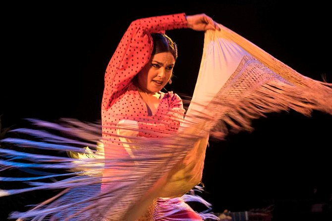 Flamenco Show Ticket at Theatre Barcelona City Hall - Costumes, movement, and stage style