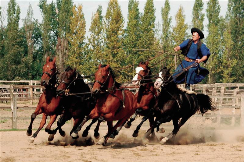 From Budapest: Full-Day Puszta Tour with Lunch and Show - Key points at a glance