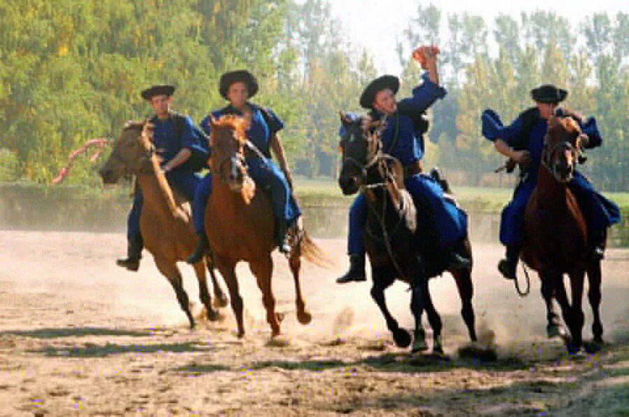 From Budapest: Full-Day Puszta Tour with Lunch and Show - Why this day trip works