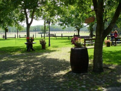 Full-Day Puszta Tour with Lunch and Show