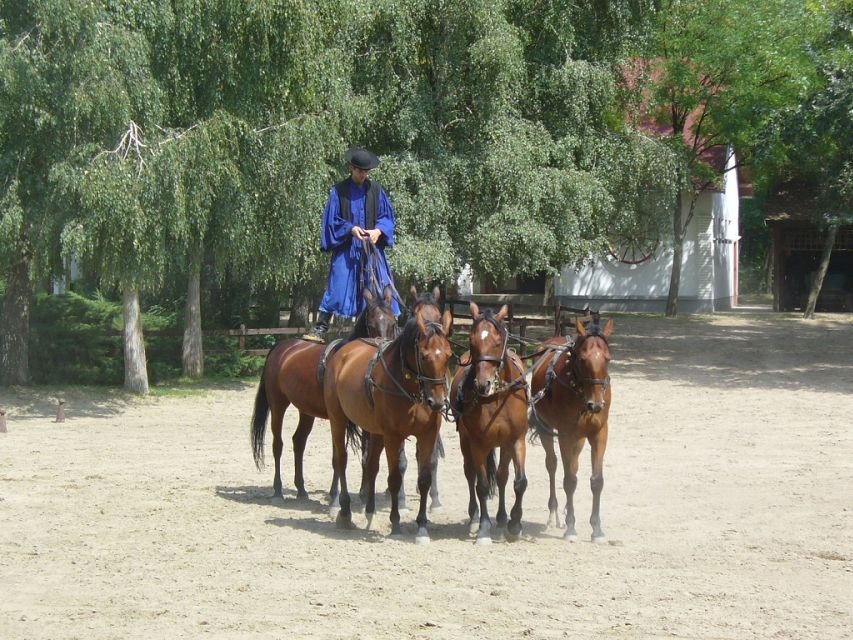 From Budapest: Full-Day Puszta Tour with Lunch and Show - Lajosmizse and the first taste of pálinka