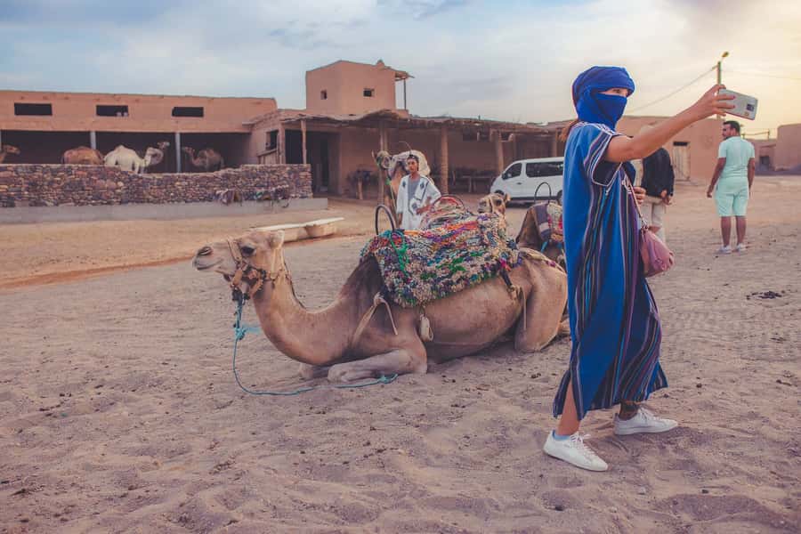From Marrakech: Agafay Desert Camel Ride and Dinner and Show - What the $34 price really buys