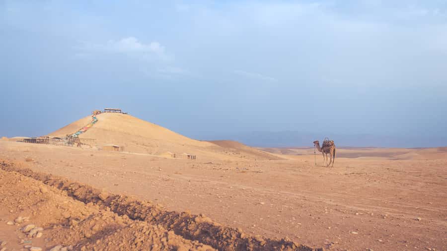 From Marrakech: Agafay Desert Camel Ride and Dinner and Show - Who will enjoy this most
