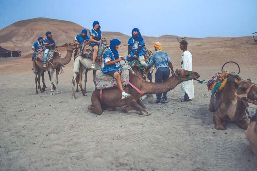 From Marrakech: Agafay Desert Camel Ride and Dinner and Show - Practical advice for a smoother evening