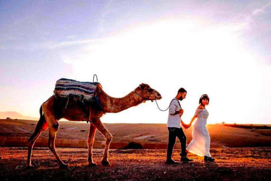 From Marrakech: Agafay Desert Sunset Dinner with Live Show - Should you book the Agafay sunset dinner?