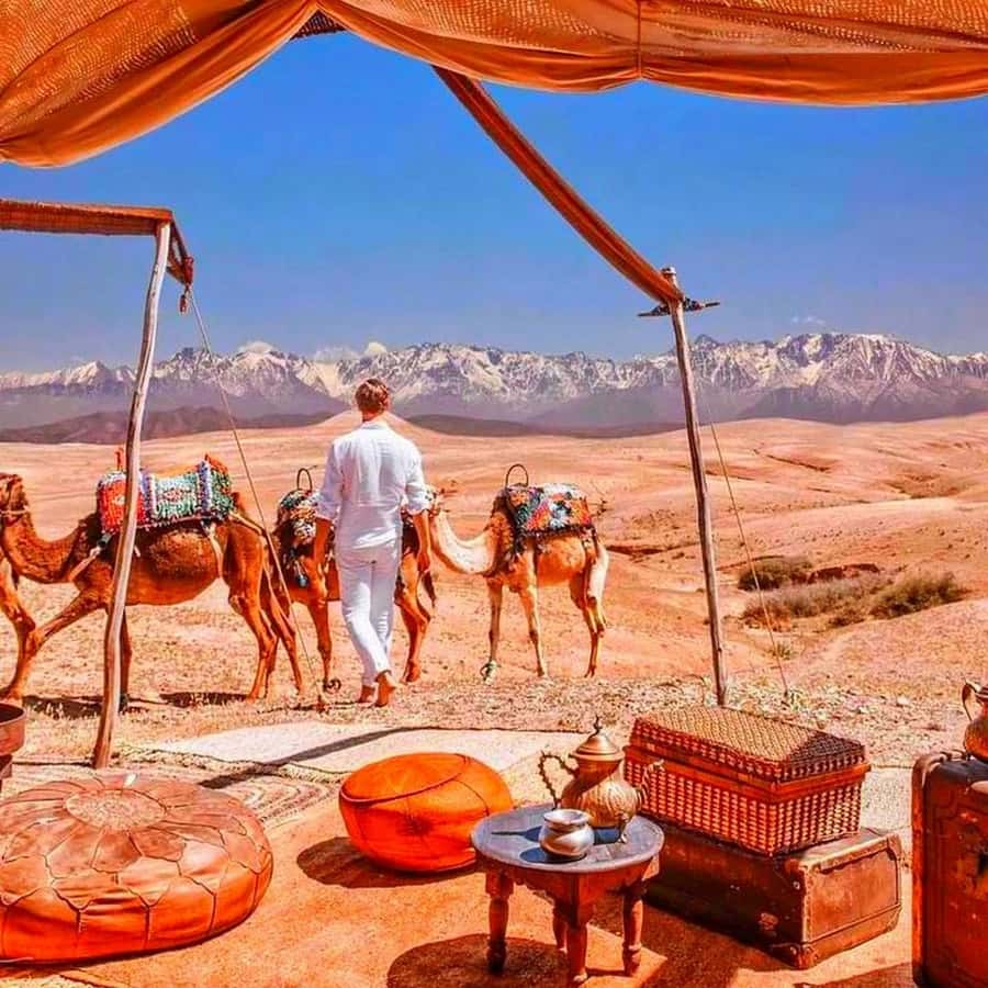 From Marrakech: Agafay Desert Sunset Dinner with Live Show - Mint tea and the first desert views