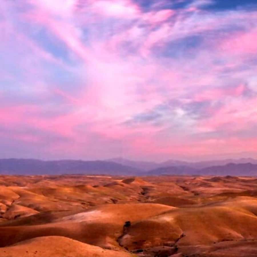 From Marrakech: Agafay Desert Sunset Dinner with Live Show - Music, dancing, and the fire show