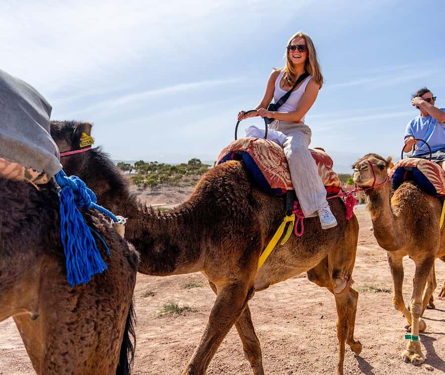 From Marrakech: Agafay Sunset Camel Tour with Dinner & Show - Should you book this Agafay camel tour?