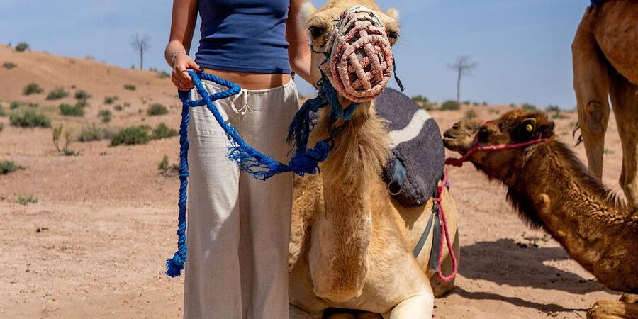 From Marrakech: Agafay Sunset Camel Tour with Dinner & Show - What the six-hour schedule really feels like