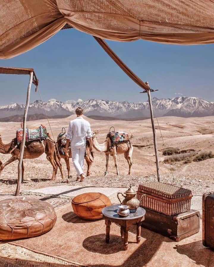 From Marrakech: Camel, Quad Bike Tour, Sunset, Dinner & Show - Quad biking adds the evening’s main burst of energy