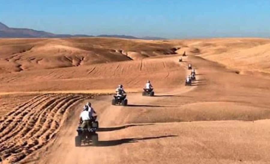 From Marrakech: Camel, Quad Bike Tour, Sunset, Dinner & Show - The argan oil cooperative adds a cultural stop