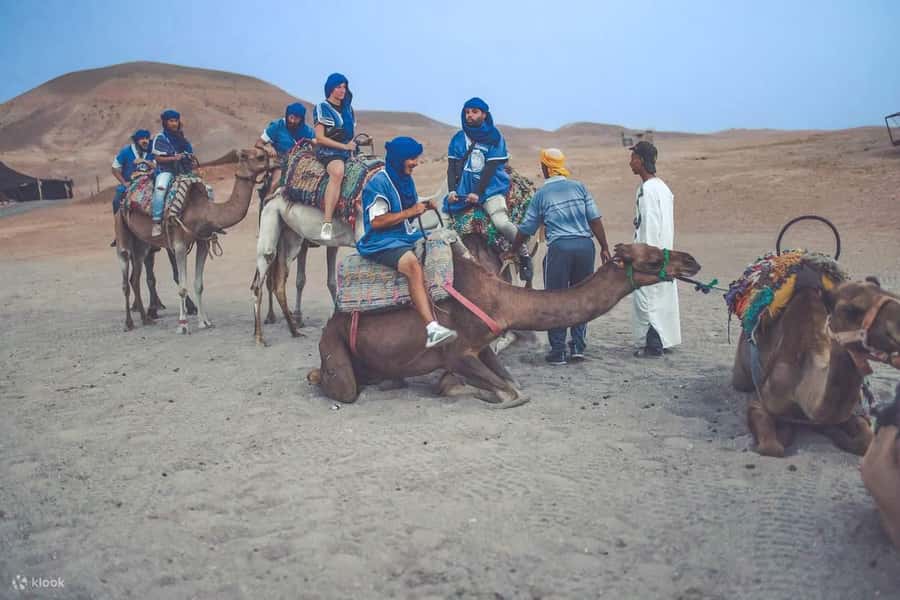 From Marrakech: Camel, Quad Bike Tour, Sunset, Dinner & Show - Dinner under Berber tents is the social heart of the night