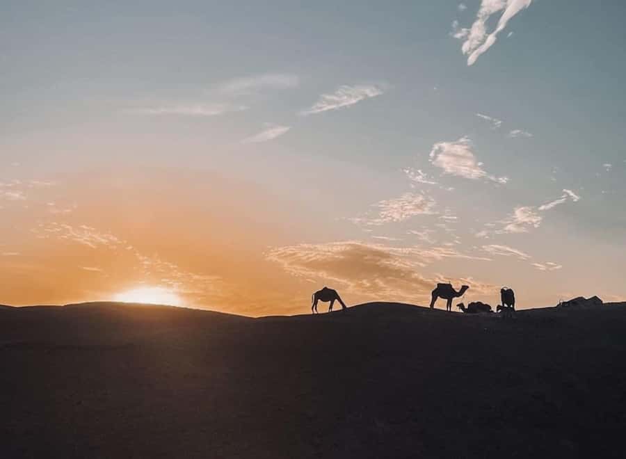 From Marrakech: Dinner show in Agafay Desert & Sunset Quad - From Marrakech to the Agafay Desert in 45 minutes