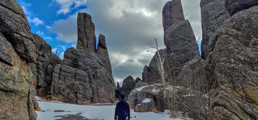 From Rapid City: Mt Rushmore-Crazy Horse-CSP Wildlife Loop - Custer State Park and the 18-mile Wildlife Loop