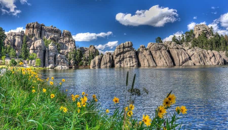From Rapid City: Mt Rushmore-Crazy Horse-CSP Wildlife Loop - Is $290 a fair price?