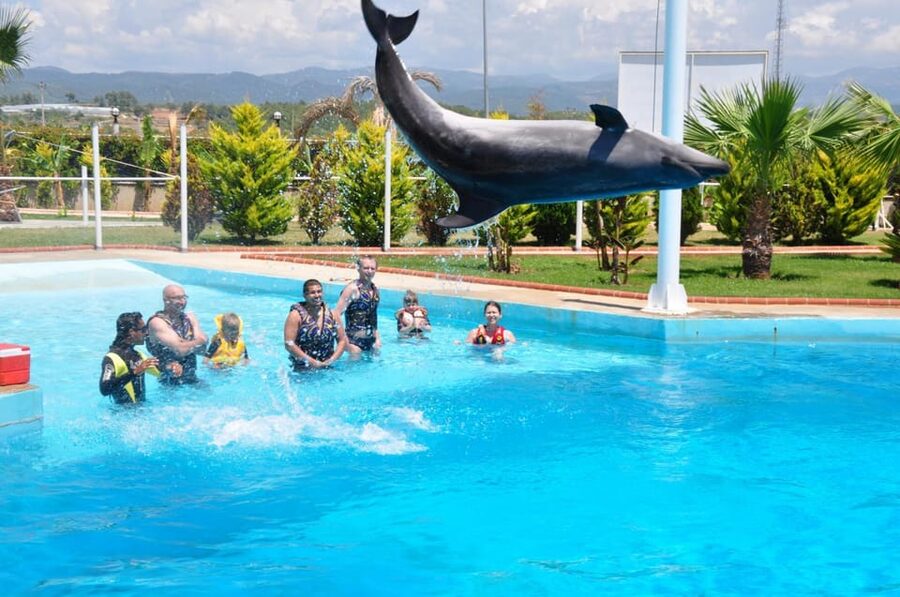 From Side Dolphin and Seal Show Ticket with Hotel Transfers - Timing, meeting details, and cancellation