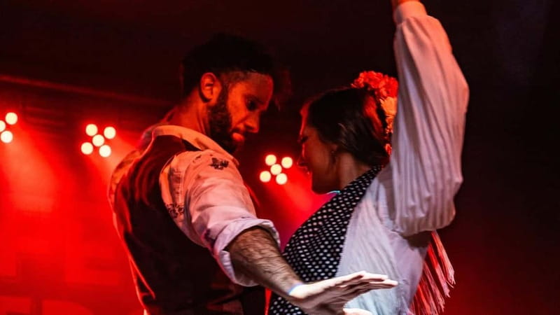 Fuengirola: Flamenco Show - What the Fuengirola flamenco show is really like