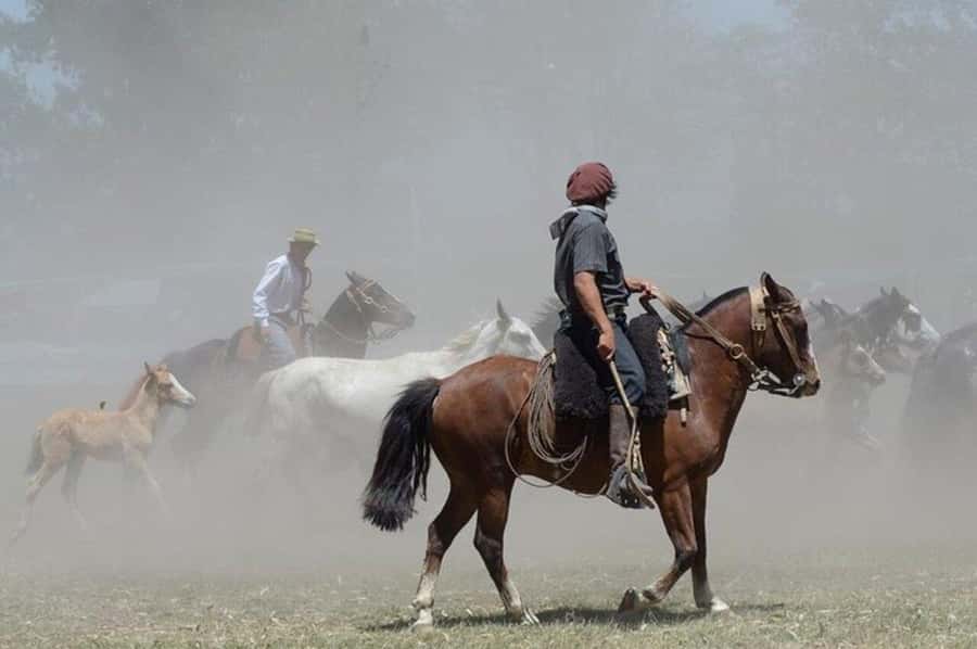 Full-Day at Santa Susana Ranch with BBQ, Drinks and Show - Ring racing, herding, and carrera de cuadreras