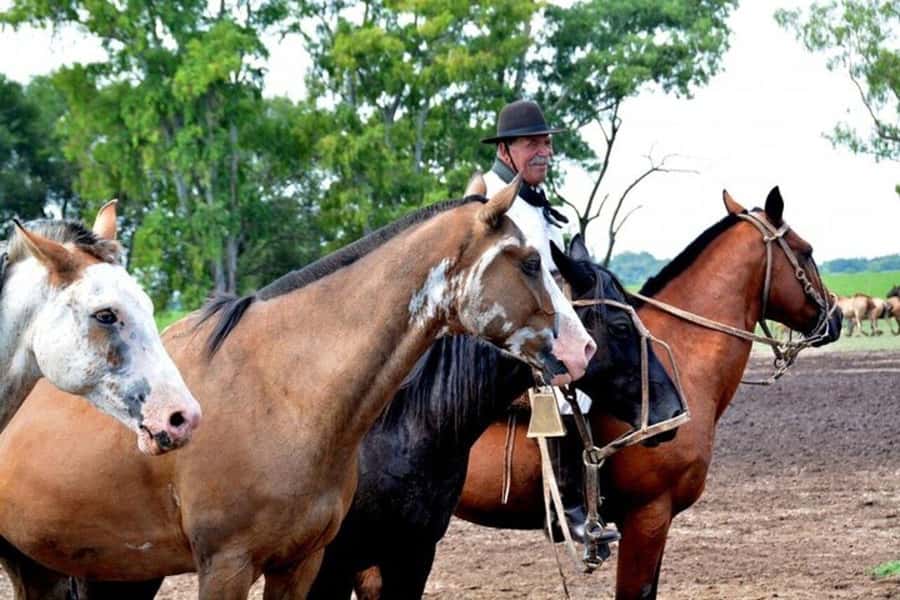 Full-Day at Santa Susana Ranch with BBQ, Drinks and Show - Is $595 a fair price?