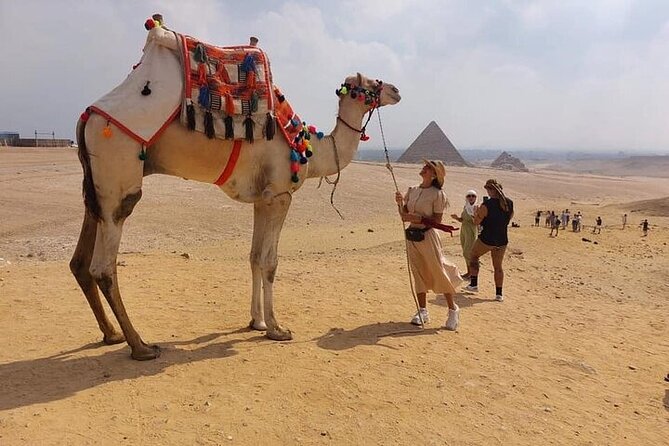Giza Pyramid tour with ATV,Camel,Lunch,shopping,Dinner Show - Who will enjoy this best
