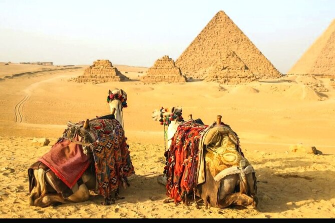 Giza Pyramids ,Camel Ride & Dinner Show Private Tour - A 15-minute camel ride, not a desert expedition