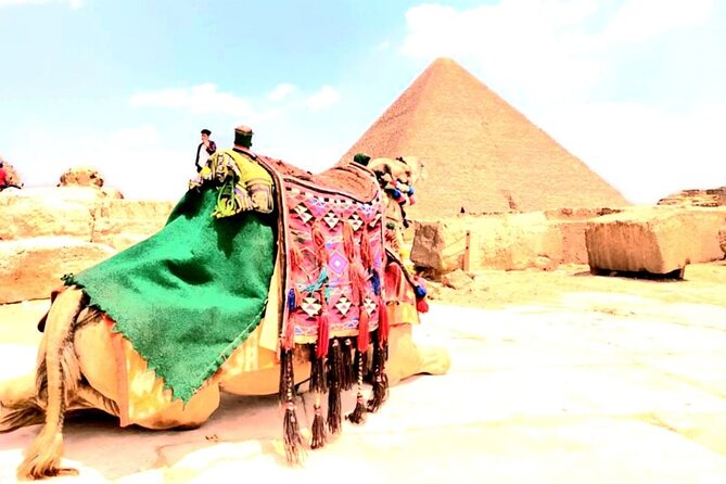 Giza Pyramids ,Camel Ride & Dinner Show Private Tour - What the private format means for you