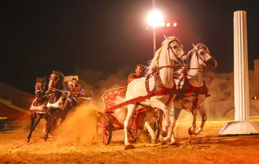 Gran Circus Maximus Entrada + transporte - Who will enjoy Gran Circus Maximus most?
