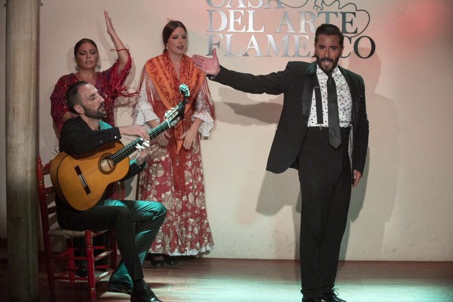 Granada: 1-Hour Traditional Flamenco Show - What the one-hour Granada show is really like