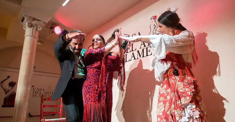 Granada: 1-Hour Traditional Flamenco Show - The performers and the sound of flamenco