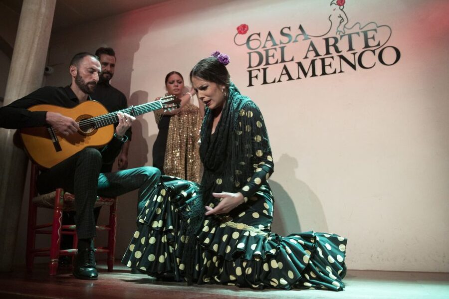 Granada: 1-Hour Traditional Flamenco Show - What I like most about it