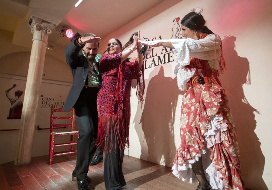 Granada: 1-Hour Traditional Flamenco Show - What may not suit you