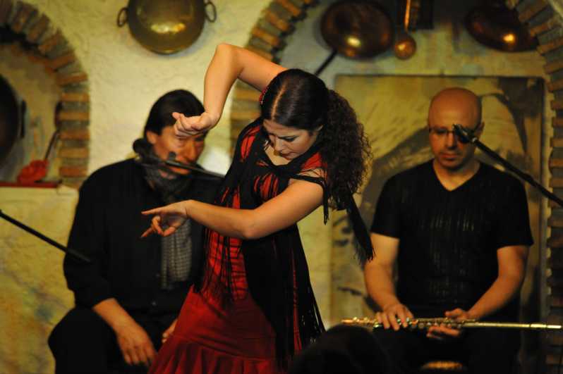 Granada: Alhambra Guided Tour and Flamenco Show - Who will enjoy this Granada experience?