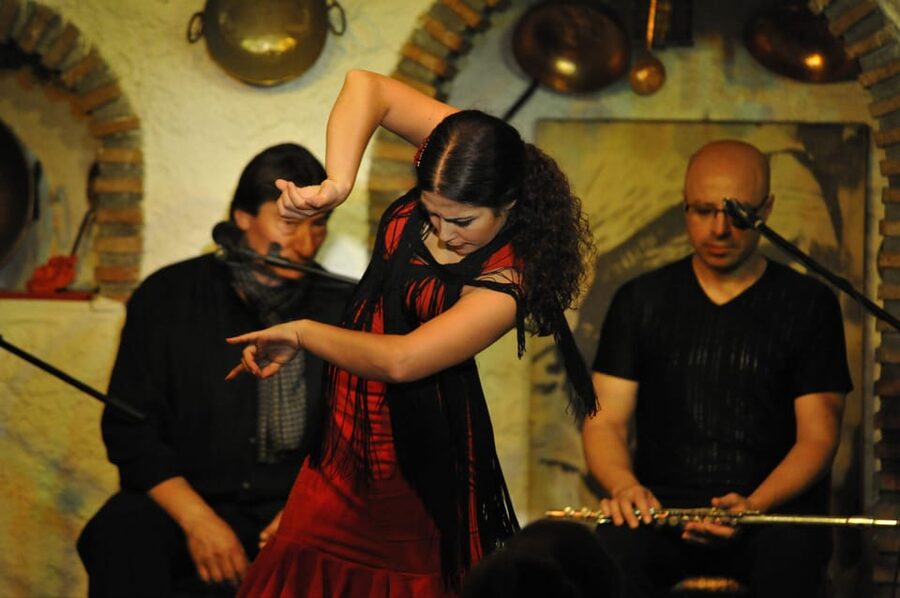 Granada: Alhambra Guided Tour and Flamenco Show - Why pair the Alhambra with Sacromonte flamenco?