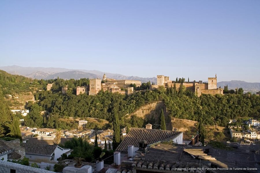 Granada: Alhambra Guided Tour and Flamenco Show - The Nasrid Palaces: the part you most want to see