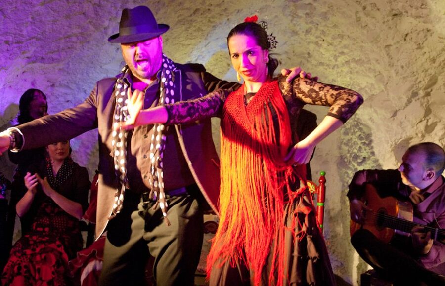 Granada: Flamenco Show at Templo del Flamenco with Drink - Who will enjoy this flamenco show most