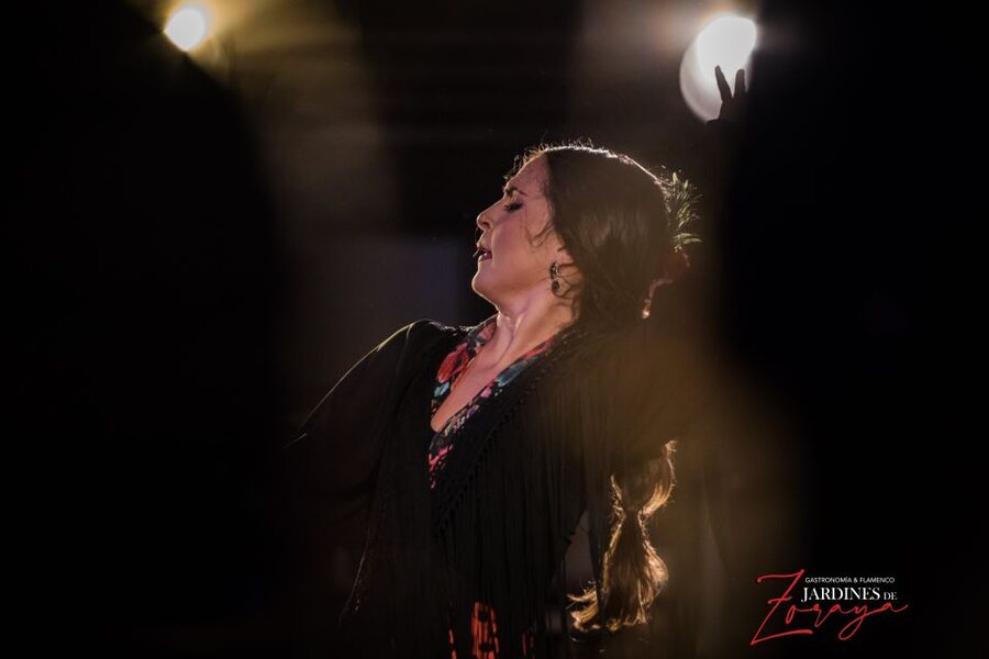 Granada: Flamenco Show in Albayzín - Jardines de Zoraya - Inside the one-hour performance