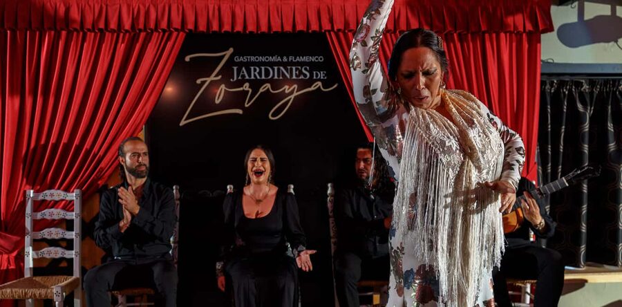 Granada: Flamenco Show in Albayzín - Jardines de Zoraya - Who will enjoy this show most