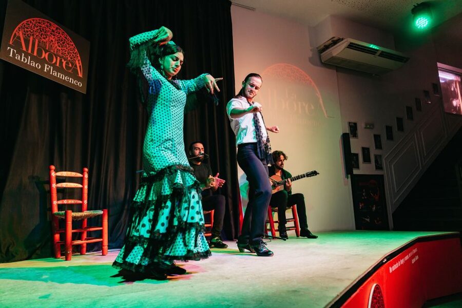 Granada: Flamenco Show in La Alboreá - What the La Alboreá show feels like