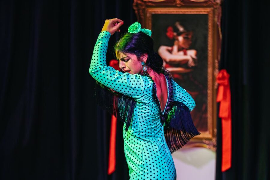 Granada: Flamenco Show in La Alboreá - The four performers and how the hour unfolds