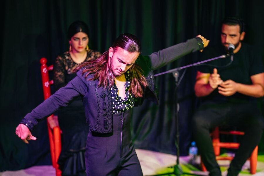 Granada: Flamenco Show in La Alboreá - Who will enjoy La Alboreá most