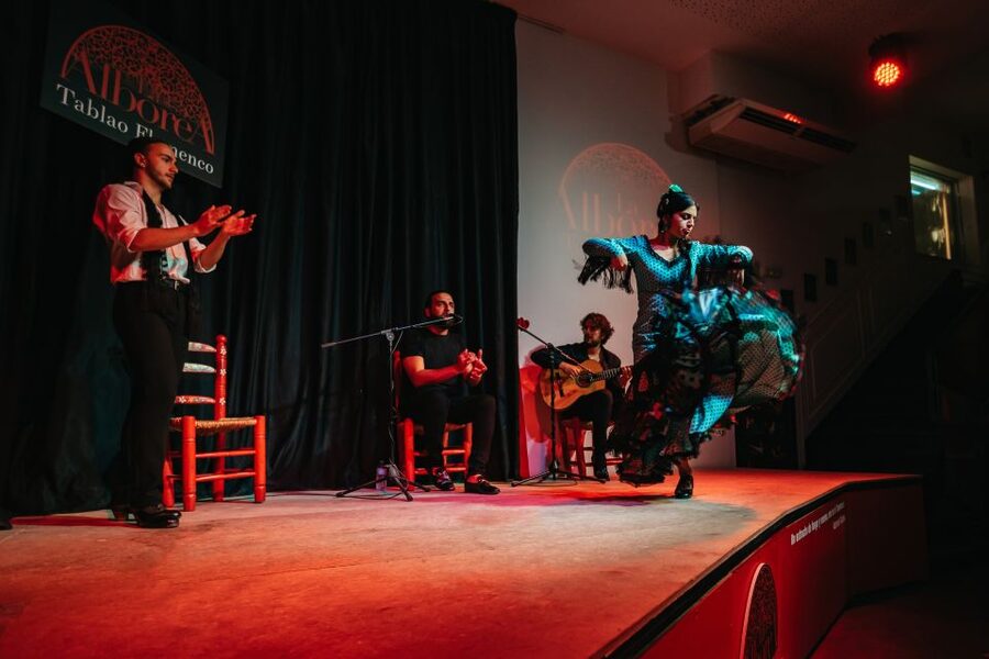 Granada: Flamenco Show in La Alboreá - Practical advice for your evening